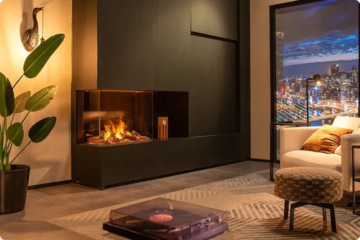 Built-in Water Vapour Fire Inserts