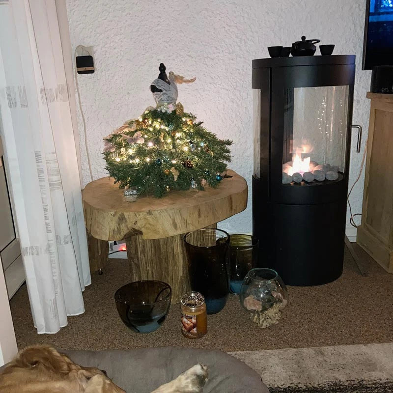 Columbus - Bioethanol Stove with 360-View