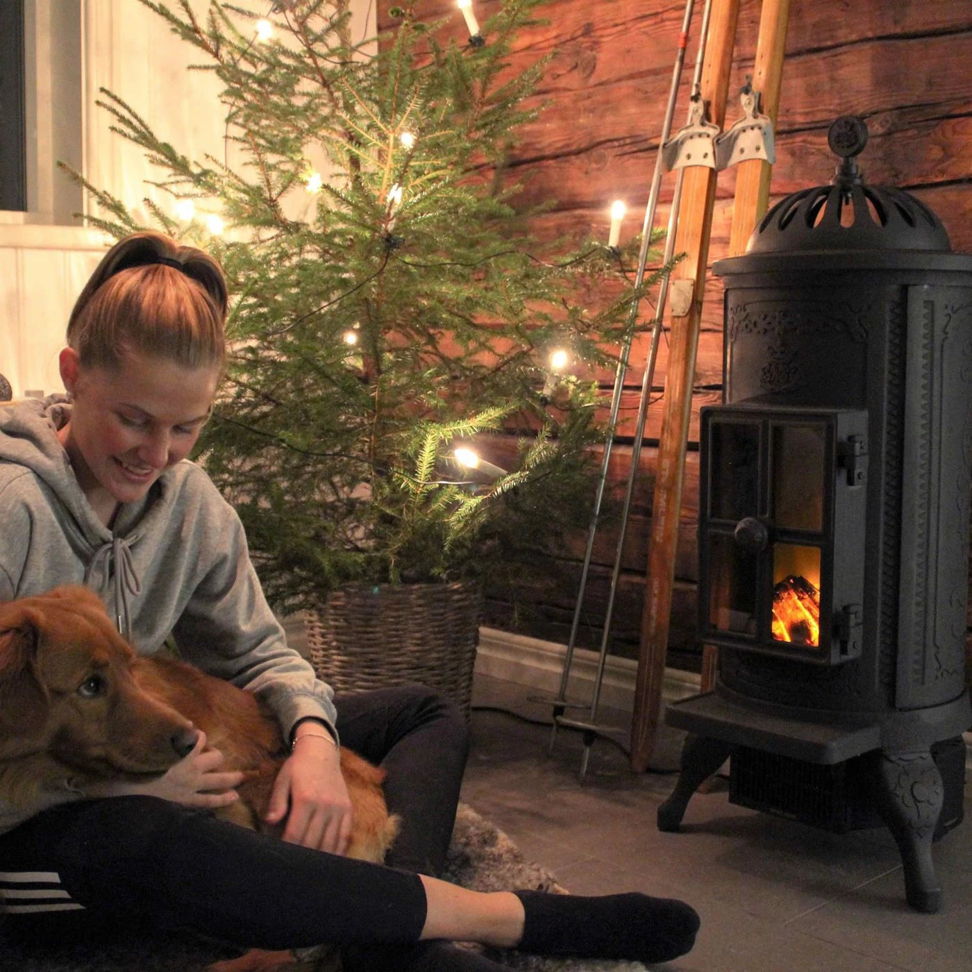 Carl Electric Fireplace - Cast Iron