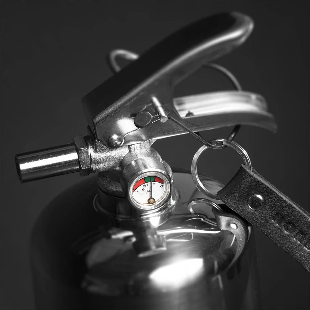 Steel Fire Extinguisher 2 kg - Polished Steel