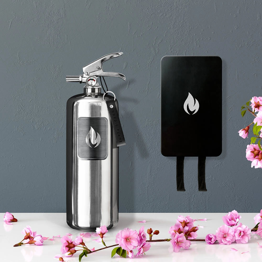 Steel Fire Extinguisher 2 kg - Polished Steel