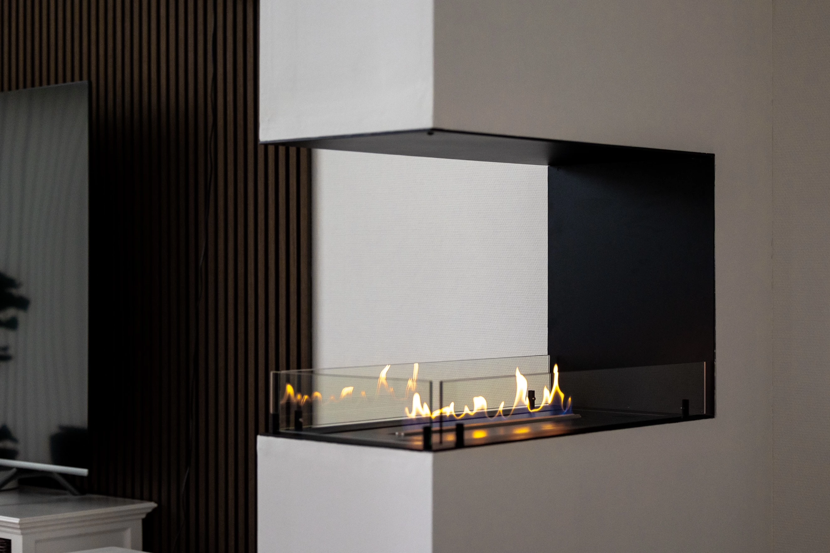 Bioethanol Fireplace Insert